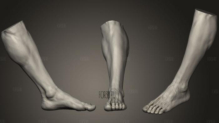 Male Foot 3 3d stl модель для ЧПУ